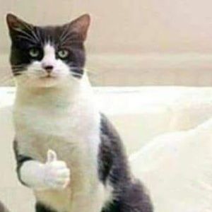 Meet your Posher, Paola